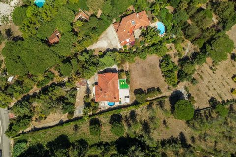 Herregård i Sintra, Lisbon, Sintra - € 1 799 000 | Ref: W-02WOZX - foto 46