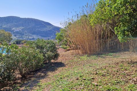 Landejendom i Alcaucin, Malaga, Alcaucin - € 374.950 | Ref: AX1405 - foto 13