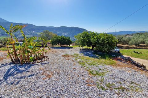 Landejendom i Alcaucin, Malaga, Alcaucin - € 374.950 | Ref: AX1405 - foto 10