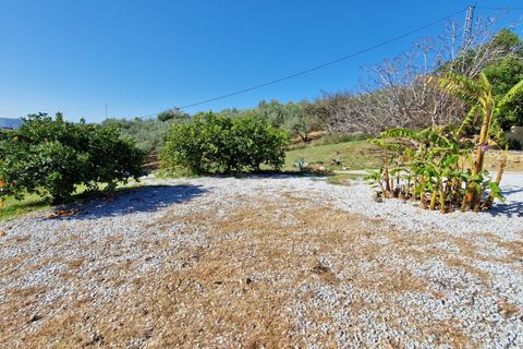 Landejendom i Alcaucin, Malaga, Alcaucin - € 374.950 | Ref: AX1405 - foto 11