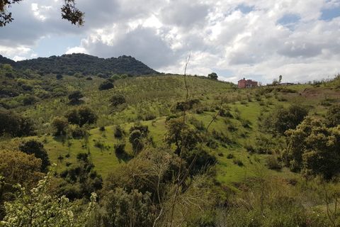 Helårsgrund i Guadix, Granada, Guadix - € 6.500.000 | Ref: R3895873 - foto 5