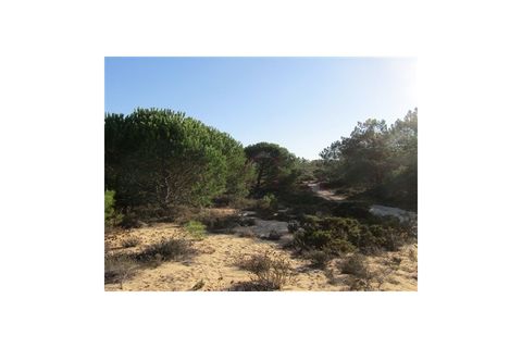 Helårsgrund i Santo Andre, Setubal, Santo Andre - € 299.000 | Ref: 10401 - foto 2