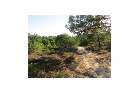 Helårsgrund i Santo Andre, Setubal, Santo Andre - € 299.000 | Ref: 10401 - foto 3