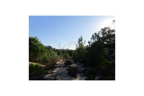 Helårsgrund i Santo Andre, Setubal, Santo Andre - € 299.000 | Ref: 10401 - foto 5