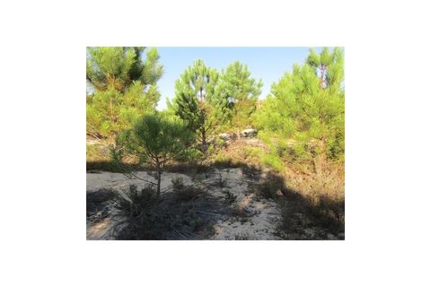 Helårsgrund i Santo Andre, Setubal, Santo Andre - € 299.000 | Ref: 10401 - foto 6