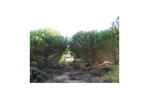 Helårsgrund i Santo Andre, Setubal, Santo Andre - € 299.000 | Ref: 10401 - foto 11