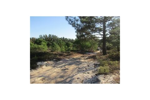 Helårsgrund i Santo Andre, Setubal, Santo Andre - € 299.000 | Ref: 10401 - foto 15