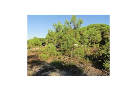 Helårsgrund i Santo Andre, Setubal, Santo Andre - € 299.000 | Ref: 10401 - foto 16