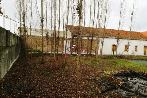 Villa a Constancia, Santarem, Constancia - € 514.000 | Ref: 13011 - foto 4