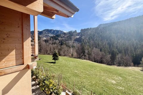 Wooden chalet in Saint-Jean-de-Sixt, Haute-Savoie - photo 2