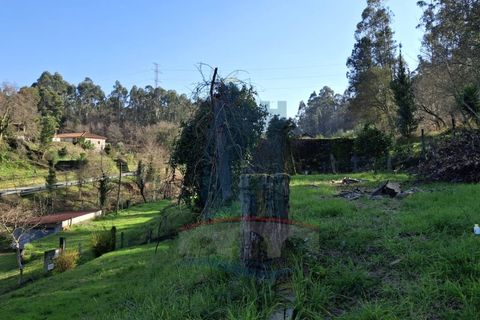 Helårsgrund i Vila Verde, Braga, Vila Verde - € 87.000 | Ref: TL024 - foto 4