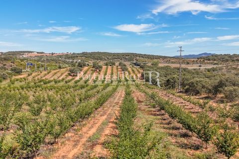 Terra a Estremoz, Evora, Estremoz - € 220.000 | Ref: FG212 - foto 2