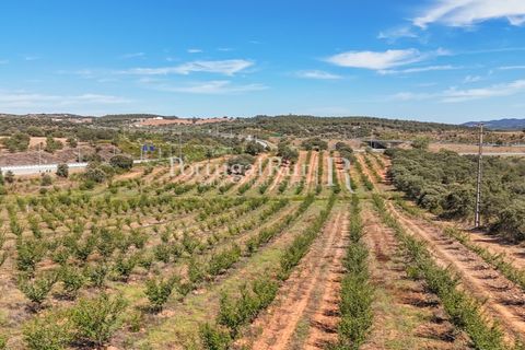 Terra a Estremoz, Evora, Estremoz - € 220.000 | Ref: FG212 - foto 3