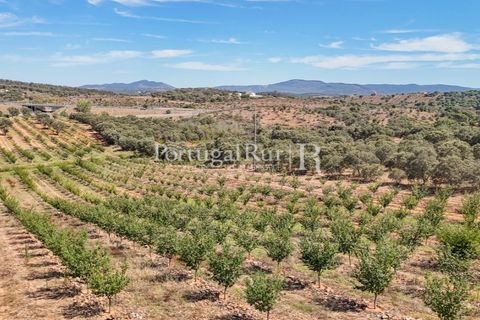 Terra a Estremoz, Evora, Estremoz - € 220.000 | Ref: FG212 - foto 5
