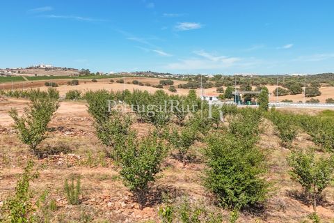 Terra a Estremoz, Evora, Estremoz - € 220.000 | Ref: FG212 - foto 8