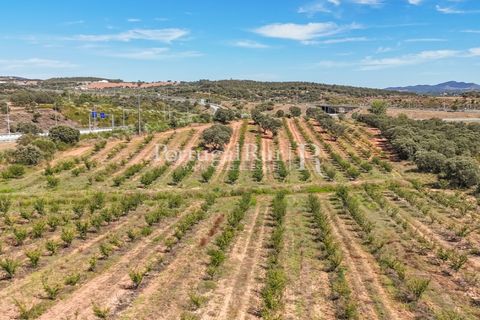 Terra a Estremoz, Evora, Estremoz - € 220.000 | Ref: FG212 - foto 12