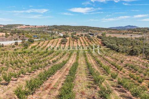 Terra a Estremoz, Evora, Estremoz - € 220.000 | Ref: FG212 - foto 13