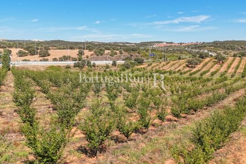 Terra a Estremoz, Evora, Estremoz - € 220.000 | Ref: FG212 - foto 14