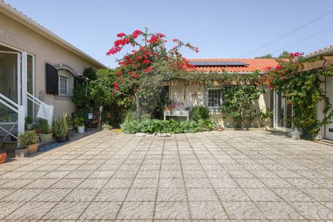 Villa a Vagos, Aveiro, Vagos - € 460.000 | Ref: 1012339/25 GL - foto 5