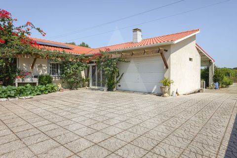 Villa a Vagos, Aveiro, Vagos - € 460.000 | Ref: 1012339/25 GL - foto 6