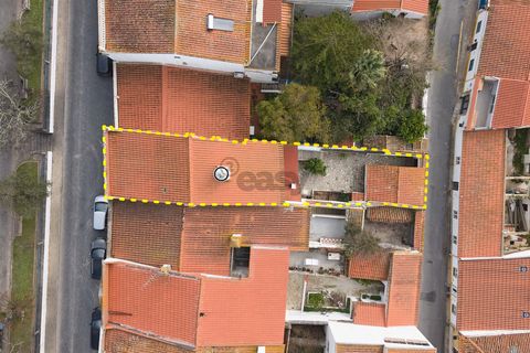 Villa a Castro Verde, Beja, Castro Verde - € 420.000 | Ref: 281671031 - foto 5