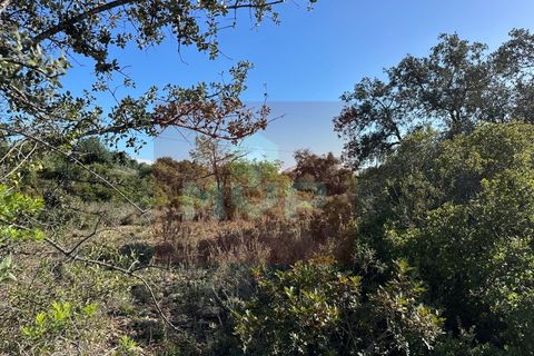 Helårsgrund i Estoi, Faro, Estoi - € 35.000 | Ref: 165260016 - foto 4