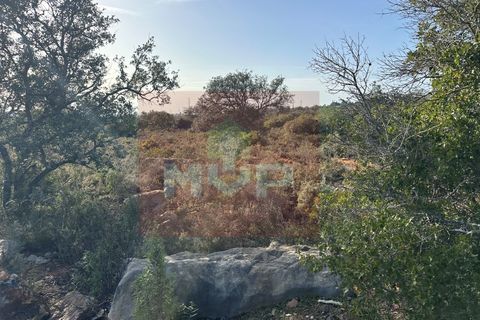 Helårsgrund i Estoi, Faro, Estoi - € 35.000 | Ref: 165260016 - foto 9
