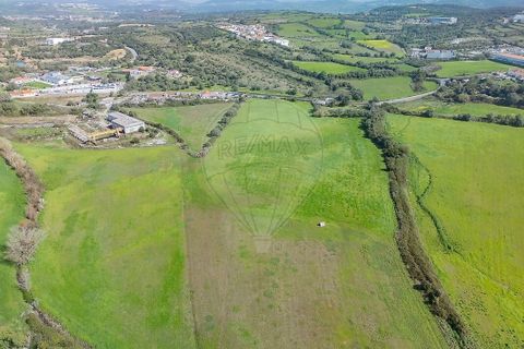 Helårsgrund i Sintra, Lisbon, Sintra - € 2.500.000 | Ref: PE-123751432-51 - foto 2