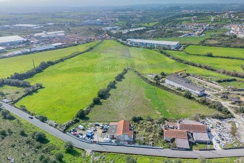 Helårsgrund i Sintra, Lisbon, Sintra - € 2.500.000 | Ref: PE-123751432-51 - foto 3