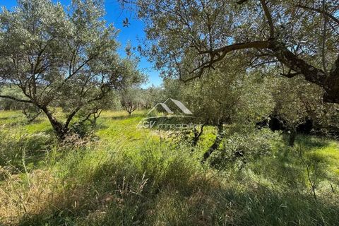 Villa a Alès, Gard, Alès - € 550.000 | Ref: 2645 - foto 22