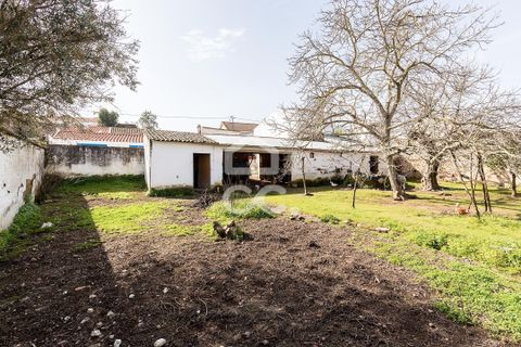 Villa a Vidigueira, Beja, Vidigueira - € 195.000 | Ref: 318/M/03783 - foto 4