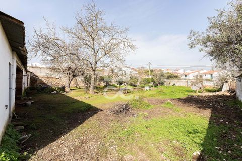 Villa a Vidigueira, Beja, Vidigueira - € 195.000 | Ref: 318/M/03783 - foto 5