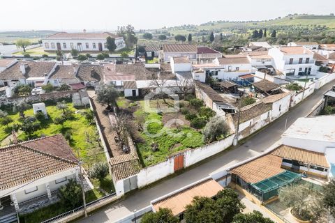 Villa a Vidigueira, Beja, Vidigueira - € 195.000 | Ref: 318/M/03783 - foto 6