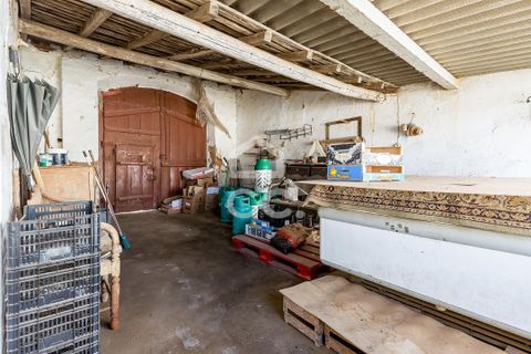 Villa a Vidigueira, Beja, Vidigueira - € 195.000 | Ref: 318/M/03783 - foto 23
