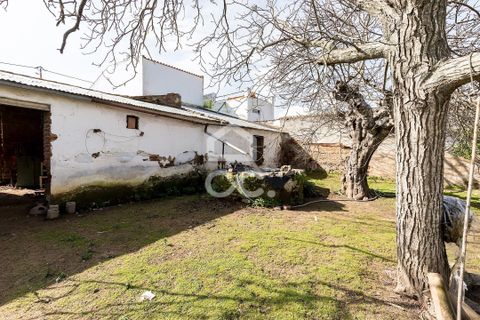 Villa a Vidigueira, Beja, Vidigueira - € 195.000 | Ref: 318/M/03783 - foto 28