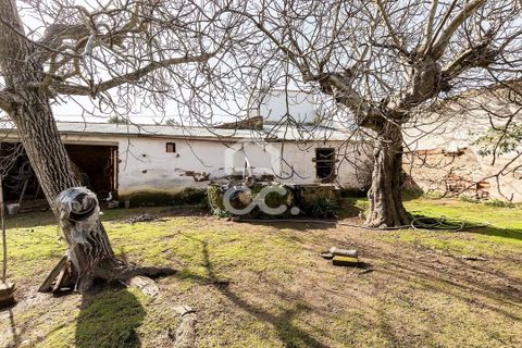 Villa a Vidigueira, Beja, Vidigueira - € 195.000 | Ref: 318/M/03783 - foto 30