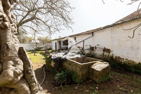 Villa a Vidigueira, Beja, Vidigueira - € 195.000 | Ref: 318/M/03783 - foto 31