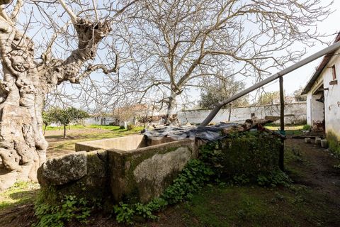 Villa a Vidigueira, Beja, Vidigueira - € 195.000 | Ref: 318/M/03783 - foto 32
