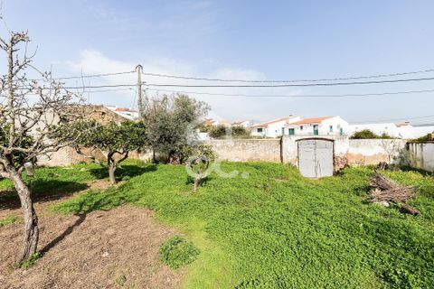 Villa a Vidigueira, Beja, Vidigueira - € 195.000 | Ref: 318/M/03783 - foto 35