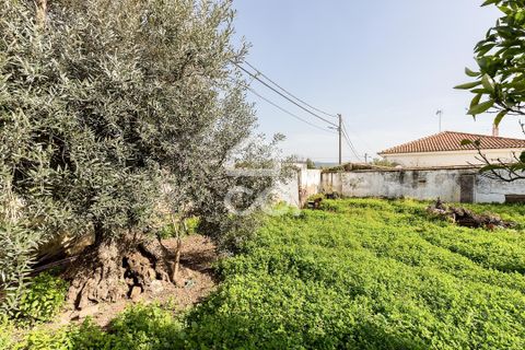 Villa a Vidigueira, Beja, Vidigueira - € 195.000 | Ref: 318/M/03783 - foto 36