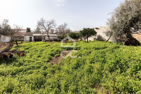 Villa a Vidigueira, Beja, Vidigueira - € 195.000 | Ref: 318/M/03783 - foto 37