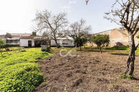 Villa a Vidigueira, Beja, Vidigueira - € 195.000 | Ref: 318/M/03783 - foto 38