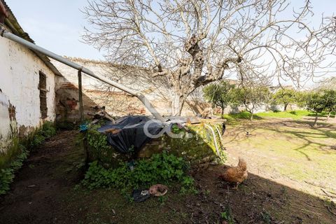Villa a Vidigueira, Beja, Vidigueira - € 195.000 | Ref: 318/M/03783 - foto 39
