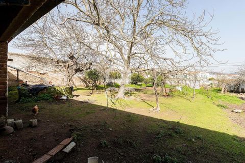 Villa a Vidigueira, Beja, Vidigueira - € 195.000 | Ref: 318/M/03783 - foto 40