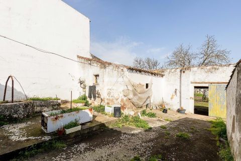 Villa a Vidigueira, Beja, Vidigueira - € 195.000 | Ref: 318/M/03783 - foto 41