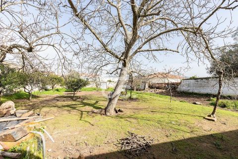 Villa a Vidigueira, Beja, Vidigueira - € 195.000 | Ref: 318/M/03783 - foto 42