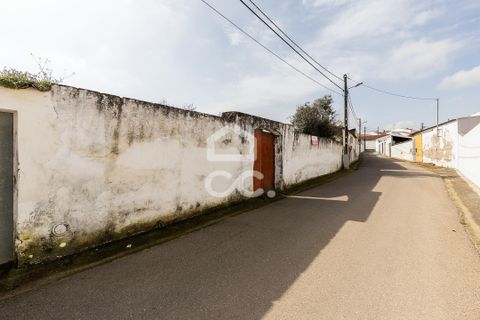 Villa a Vidigueira, Beja, Vidigueira - € 195.000 | Ref: 318/M/03783 - foto 47