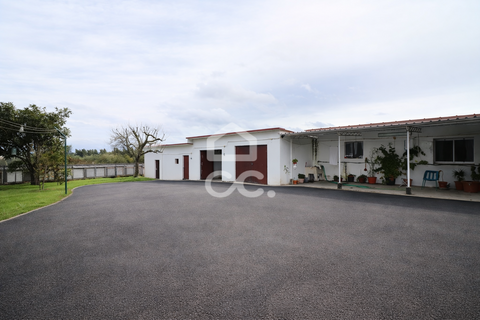 Villa a Condeixa-a-Nova, Coimbra, Condeixa-a-Nova - € 375.000 | Ref: 385/M/01019 - foto 5
