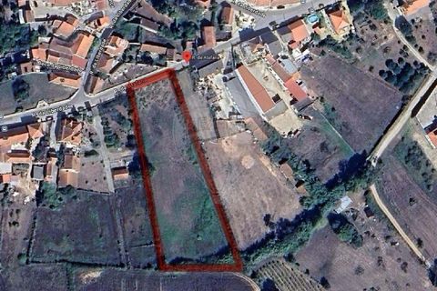 Helårsgrund i Cadaval, Lisbon, Cadaval - € 60.000 | Ref: 121331259-69 - foto 4