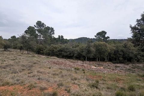 Terra a Aups, Var, Aups - € 12.000 | Ref: 3644 - foto 2